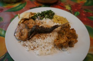 SONY DSC